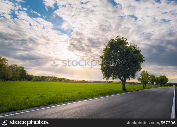 Long asphalt road with trees on the side, along agricultural fields, at sunset, near Schwabisch Hall, Germany. Street with no people and no cars.