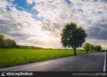 Long asphalt road with trees on the side, along agricultural fields, at sunset, near Schwabisch Hall, Germany. Street with no people and no cars.