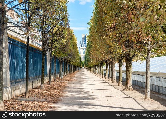 Long chestnut alley in Paris city park at autumn