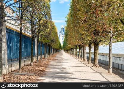 Long chestnut alley in Paris city park at autumn