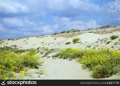 Long dune on the beach near Caesarea, Israel