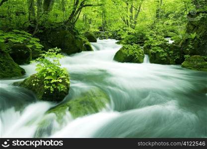 Long exposure fast flowing river