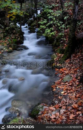 long exposure in a small river at autumn time