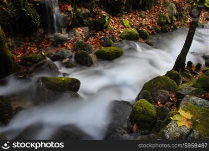 long exposure in a small river in autumn