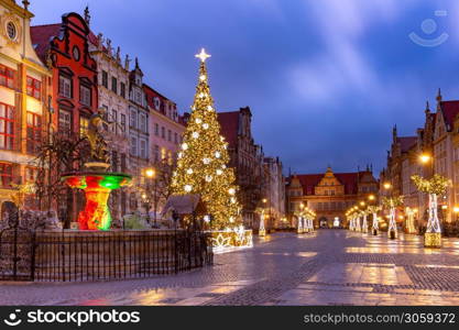 Long Lane with Fountain of Neptune and Christmas tree in Gdansk Old Town, Poland. Christmas Long Lane in Gdansk Old Town, Poland