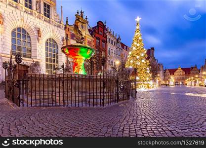 Long Market Square and Christmas tree in the night illumination for Christmas. Gdansk. Poland.. Gdansk. Long market for christmas.