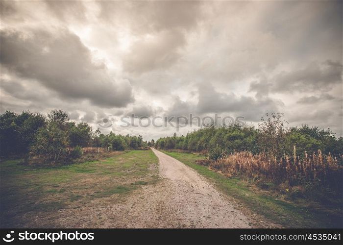 Long nature trail in cloudy weather in the fall
