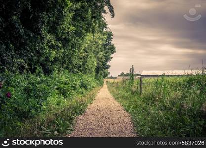 Long outdoor path in dark cloudy weather