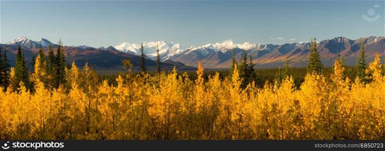 Long panoramic shot Autumn Nature Mountainous Landscape Alaska