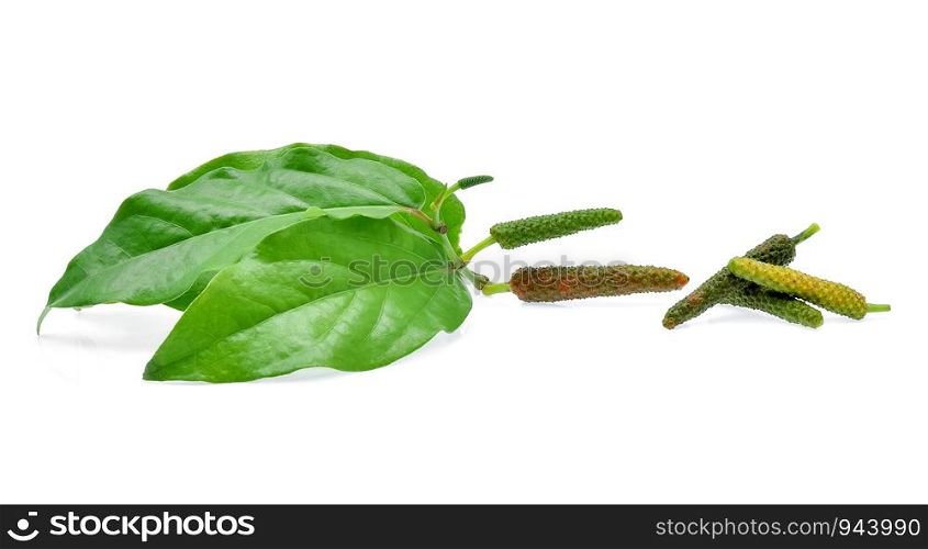 Long pepper isolated on white background.