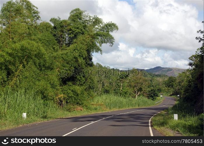 Long road with green bamboo bush in Fiji