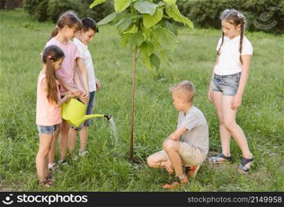 long shot kids plating tree