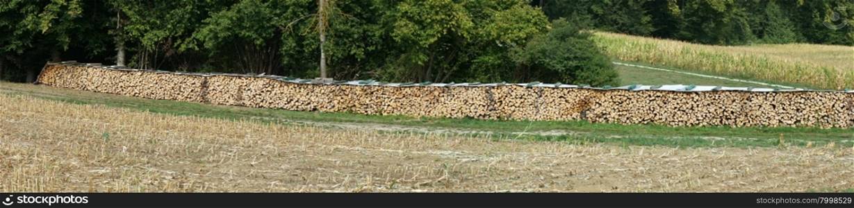 Long wall of firewood on the forest edge in Swabia, Germany
