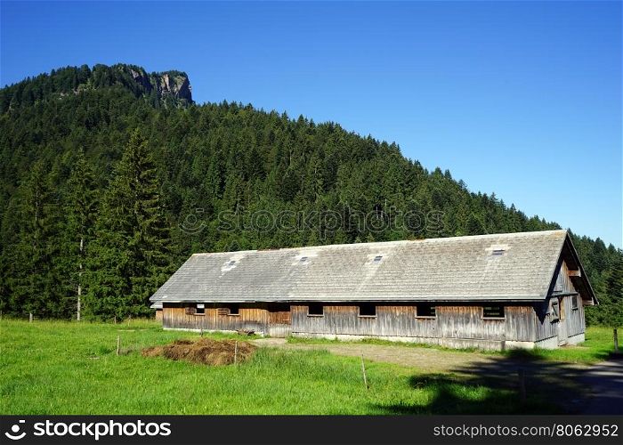 Long wooden barn and green pasture in mountain, Switzerland