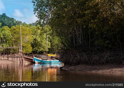 Longtail fishing boat in mangrove forest and tropical canal in Koh Lanta, Krabi, Thailand