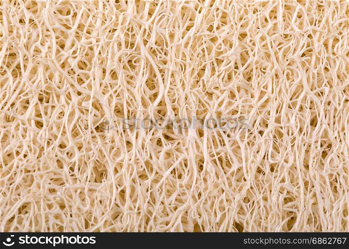 loofah body scrub texture for background
