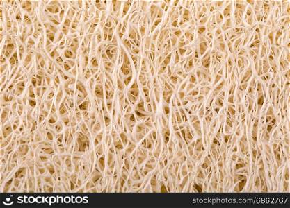 loofah body scrub texture for background