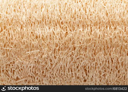 loofah for cleaning isolated on white background