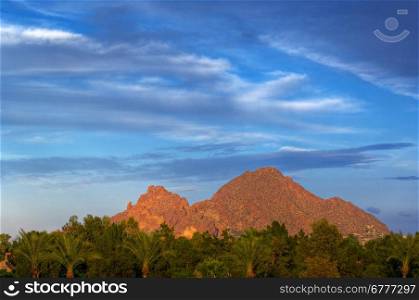 Looking across vivid green trees at Camelback Mountain against a deep blue sky. Phoenix, Arizona, USA.