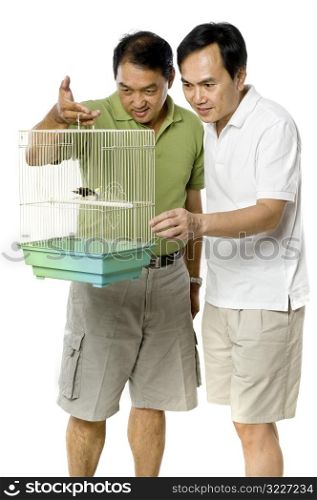 Looking At Birds In Cage