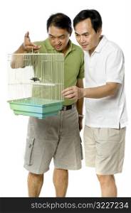 Looking At Birds In Cage