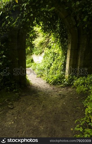 Looking from dark woodland through a ruined stone arch, sunlit outside.