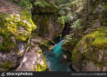 Looking into Avalanche Creek