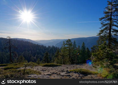 Looking over a mountain valley forest