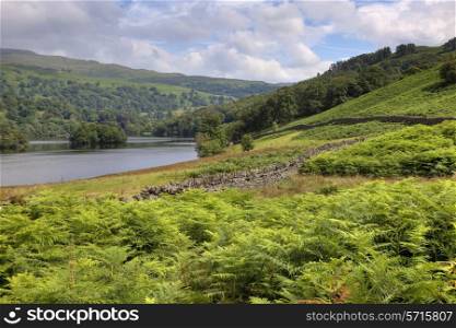 Looking over the bracken towards Rydal Water, the Lake District, Cumbria, England.