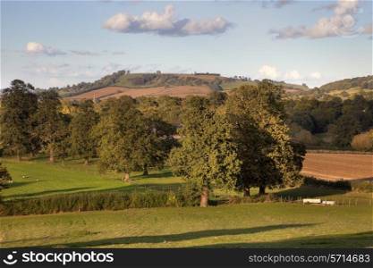 Looking past the spire at Mickleton towards Meon Hill on a spring evening, Chipping Campden, Gloucestershire, England.