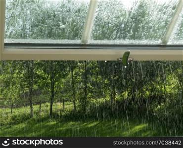 Looking through a window on summer rain.