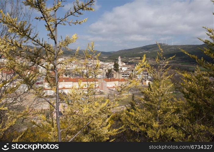 Looking Through the Trees on the Typical Medieval Spanish City