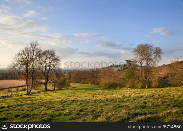Looking towards Meon Hill from Kiftsgate. Chipping Campden, Gloucestershire, England.