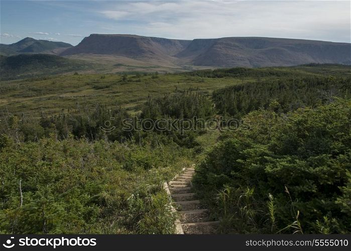 Lookout Trail and Lookout Hills in Gros Morne National Park, Newfoundland And Labrador, Canada