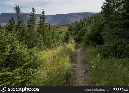 Lookout Trail and Lookout Hills in Gros Morne National Park, Newfoundland And Labrador, Canada