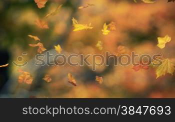 loopable 3d backgrounds