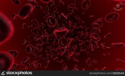 Loopable animation of blood cells flowing into veins