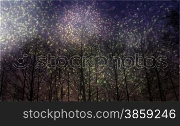 Looping Animation of Fireworks Lighting Up a Winter Sky