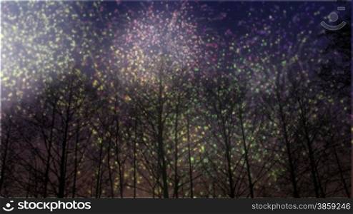 Looping Animation of Fireworks Lighting Up a Winter Sky