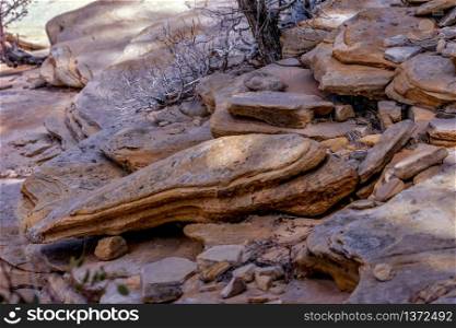 Loose Rocks in Zion