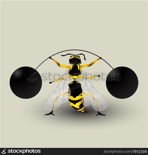 Loosing weight. Conceptual graphic with a german wasp lifting weights. Image contains transparency effect.