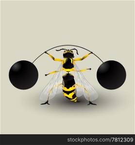 Loosing weight. Conceptual graphic with a german wasp lifting weights. Image contains transparency effect.