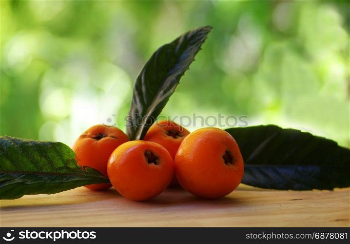 Loquat Medlar fruit and leaves