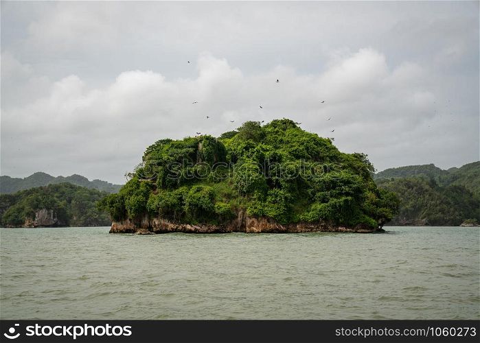 Los Haitises National Park nicknamed the Caribbean&rsquo;s Halong Bay is home to mangroves, caves, a rich tropical forest, multicolored tropical birds and manatees. The coast is dotted with small islets where frigates and pelicans nest. South of the Samana peninsula, Dominican Republic.