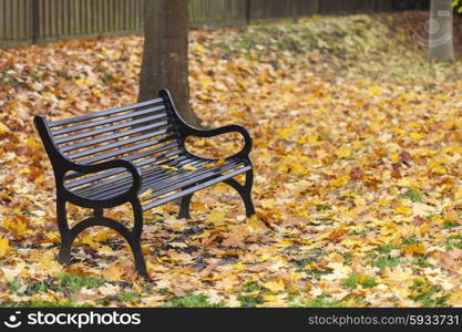 Loss or bereavement concept empty park bench surrounded by trees and golden Autumn or Fall leaves