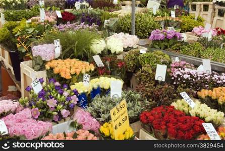 lot of flowers in all colors on a flower market in holland