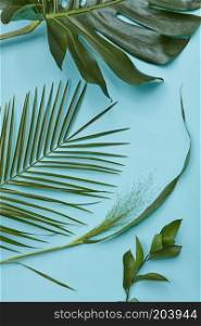 lot of green leaves isolated on a blue background. Decoration of green leaves for the design of your poster, postcards, etc. flat lay. Green leaves isolated