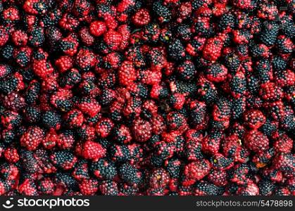 Lots of berries arranged at the background