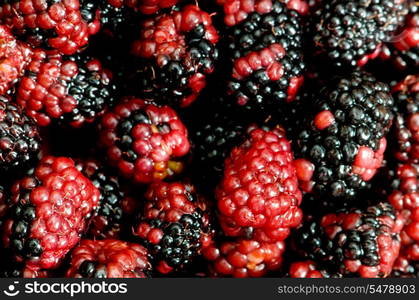 Lots of berries arranged at the background