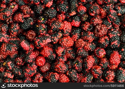 Lots of berries arranged at the background